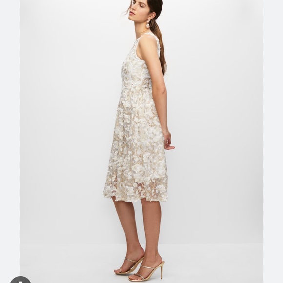 Adrianna Papell Floral Embroidered Crew Neck Fit and Flare Dress - Picture 7 of 17